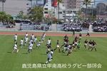 甲鶴戦